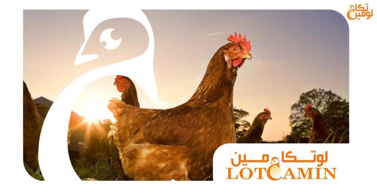 خدمات لوتکامین به کارخانجات تولید خوراک دام و طیور