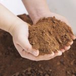 عوامل موثر بر ارزش غذایی کنجاله کلزا در طیور