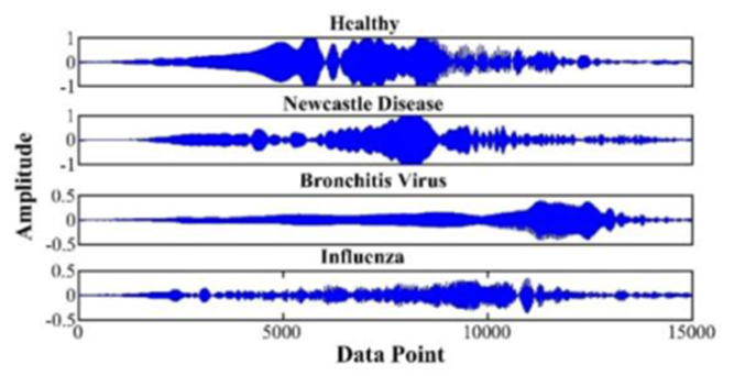تفاوت صدای مرغ سالم، مبتلا به بیماری نیوکاسل، برونشیت عفونی و آنفولانزا توسط هوش مصنوعی