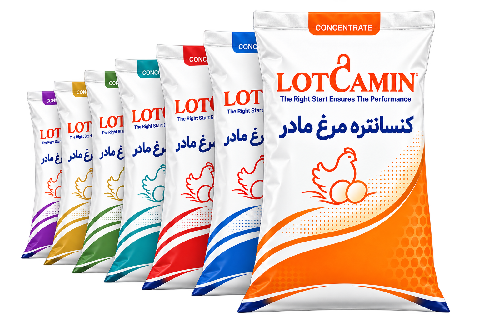 بستهبندی کنسانتره مرغ مادر لوتکامین با هفت مرحله تغذیه